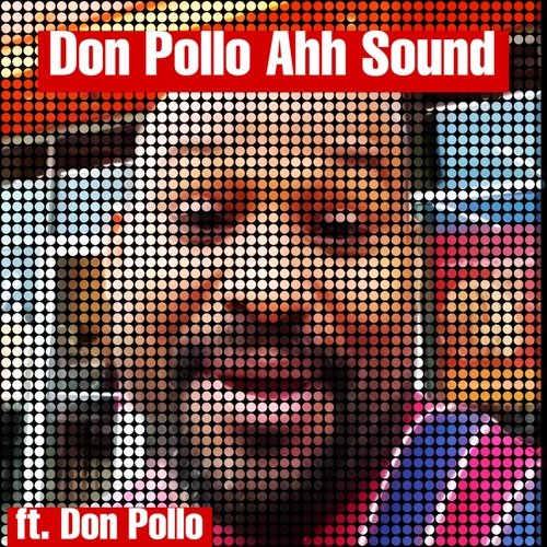 Don Pollo Lyrics
