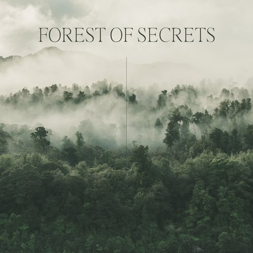 Forest of Secrets: Healing and Peaceful Nature_poster_image