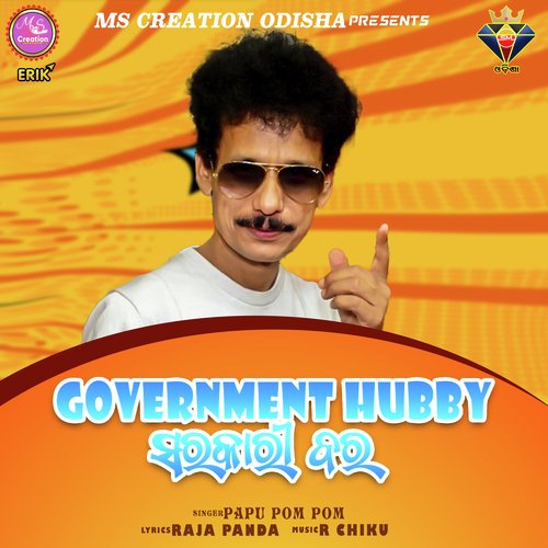 Government Hubby