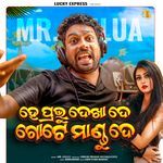 He Prabhu Dekha De Gote Mandu De