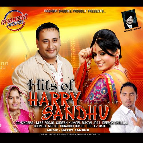 Hits of Harry Sandhu_poster_image