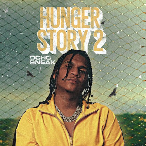 Hunger Story 2_poster_image