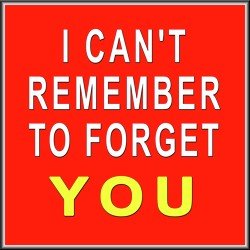I Can't Remember to Forget You
