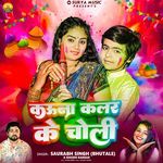 Kauna Colour Ke Choli