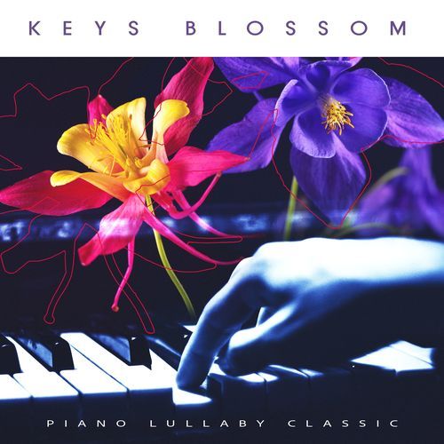 Keys Blossom_poster_image