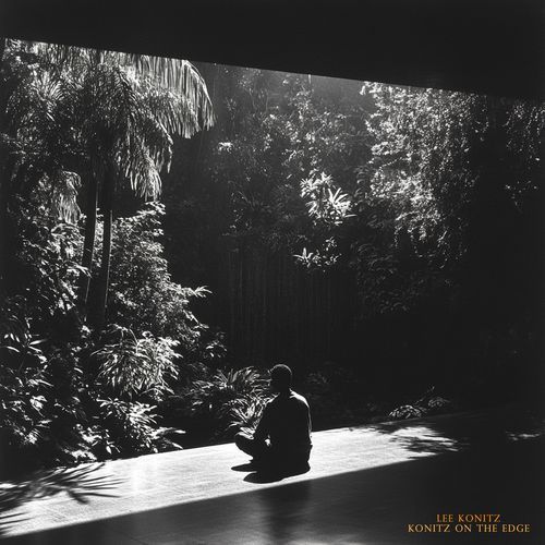 Palo Alto cover art