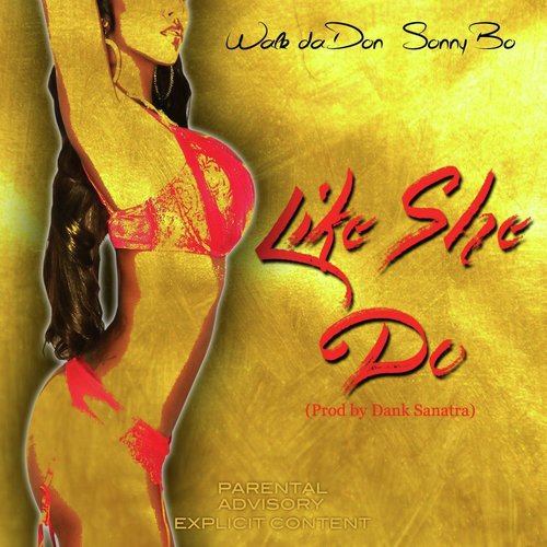 Like She Do (feat. Sonny Bo)_poster_image