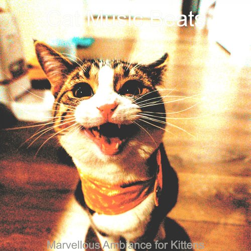 Stylish Music for Resting Cats cover art