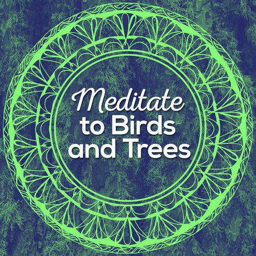 Meditation Sounds of Nature