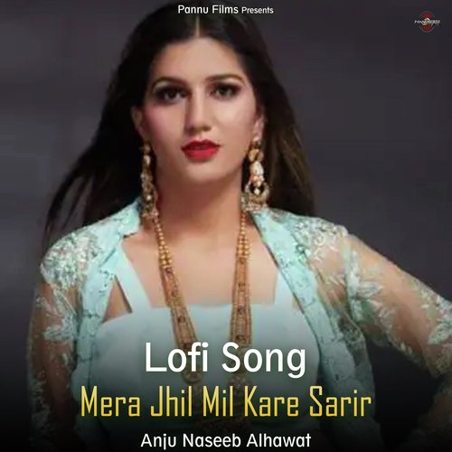 Mera Jhil Mil Kare Sarir - Lofi Song