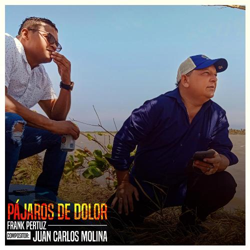 Pájaros de Dolor