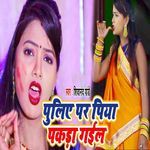 Puleya Par Piya Pakda Gail