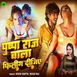 Pushpa Raj Wala Filing Dijiye