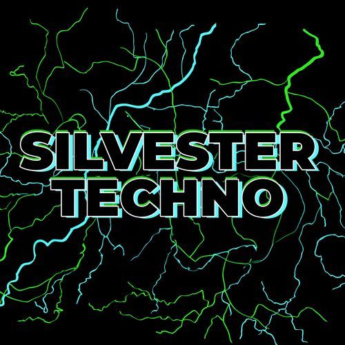 Silvester Techno_poster_image