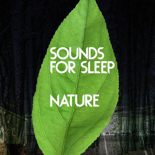 Sounds for Sleep: Nature_poster_image