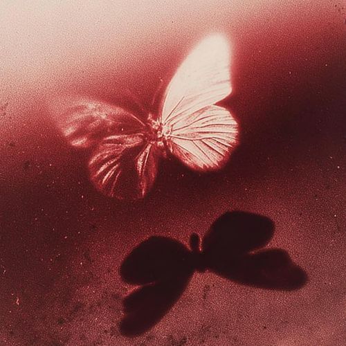 Not in the Mood for Love (feat. Dythin)