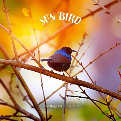 Sun Bird - Morning Meditation Flute