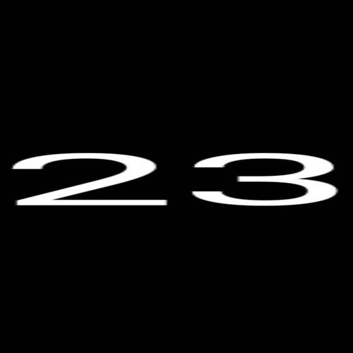 23