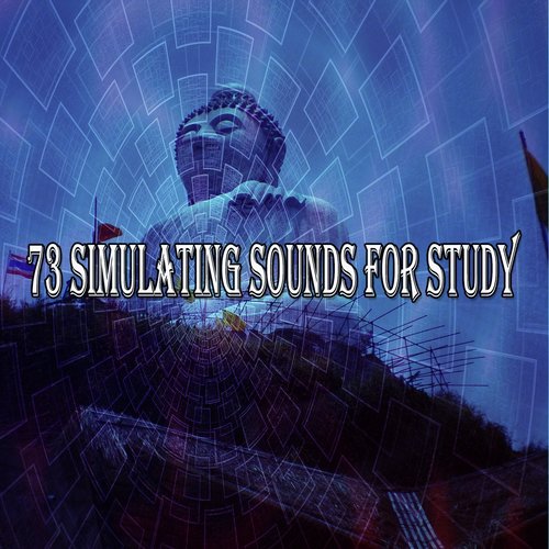 73 Simulating Sounds for Study