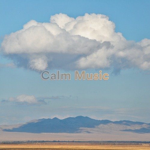 Calm Music_poster_image