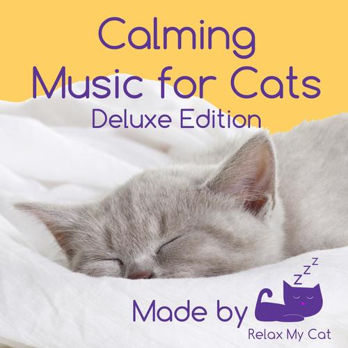 Calming Music for Cats - Reduce Anxiety During Fireworks, Sickness, Pregnancy, Grooming