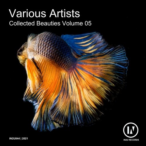 Collected Beauties, Vol. 5