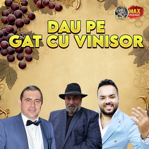 DAU PE GAT CU VINISOR