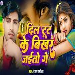 Dil Tut ke Bikhar Jaito