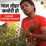 Gaal Tohar Kachori Ho