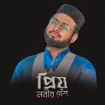 Priyo Nobir Desh