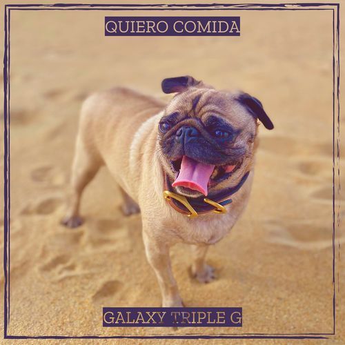 Elote cover art