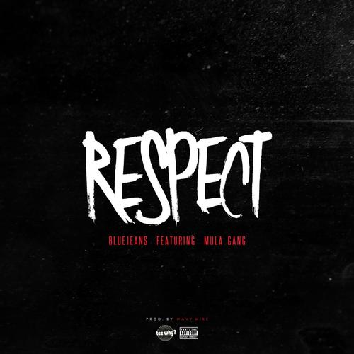 Respect (feat. Mula Gang)_poster_image