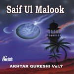 Saif Ul Malook (Pt. 2)
