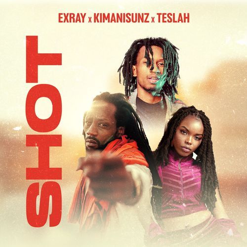 Shot cover art