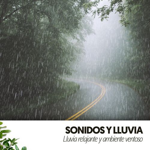 Sonidos y Lluvia: Lluvia relajante y ambiente ventoso_poster_image