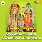 Sri Amareswara Swamivari Charithra, Pt. 2