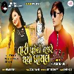 Tari Paheli Najare Thayo Ghayal