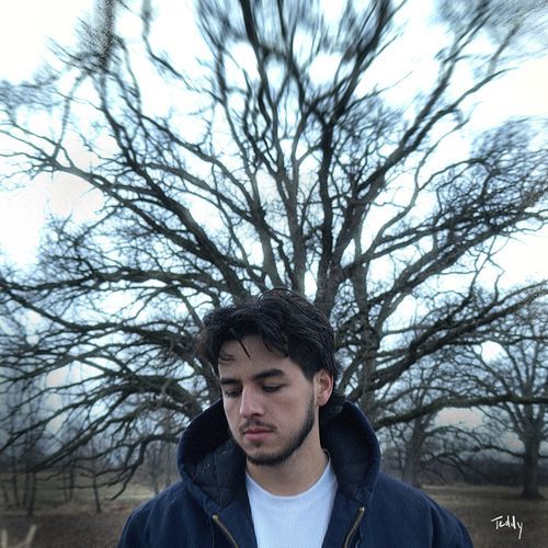 Teddy cover art
