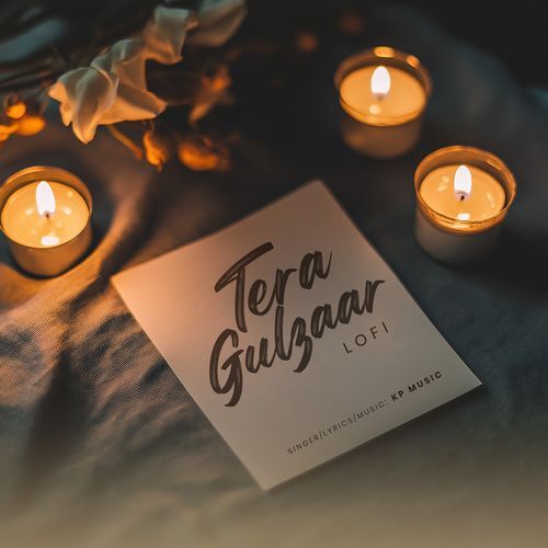 Tera Gulzaar (Lofi)