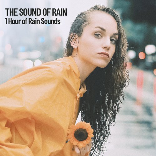 The Sound of Rain: 1 Hour of Rain Sounds_poster_image