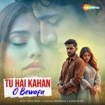 Tu Hai Kahan O Bewafa
