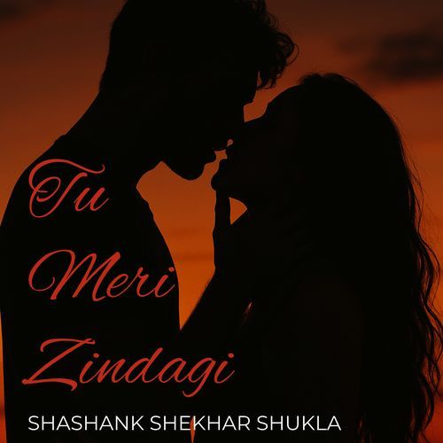 Tu Meri Zindagi