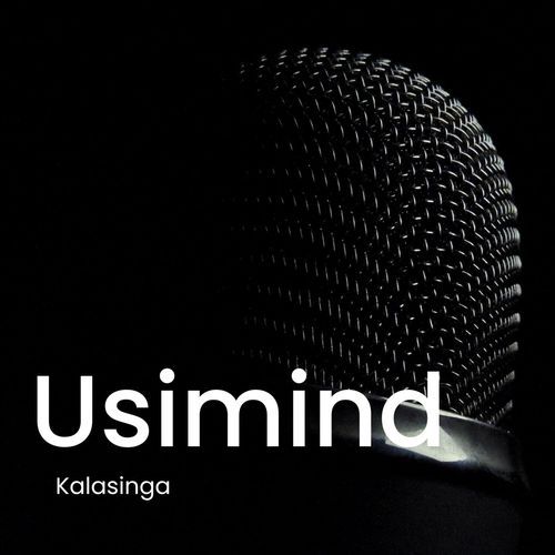 Usimind_poster_image