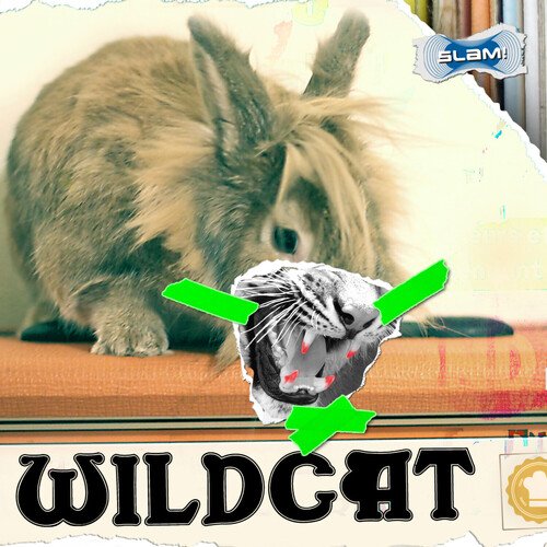 Wildcat