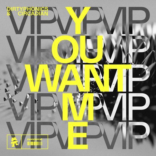 You Want Me (VIP)_poster_image