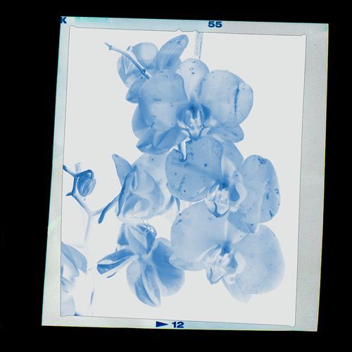Lawson: the color of the sky (hollie kenniff rework) cover art