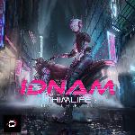 idnam