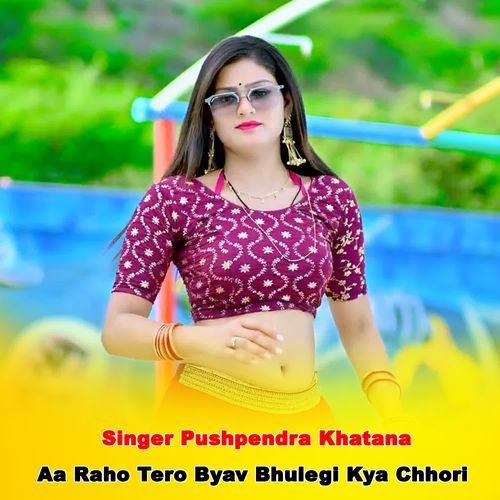 Aa Raho Tero Byav Bhulegi Kya Chhori
