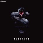 Anaconda