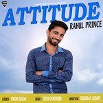 Attitude